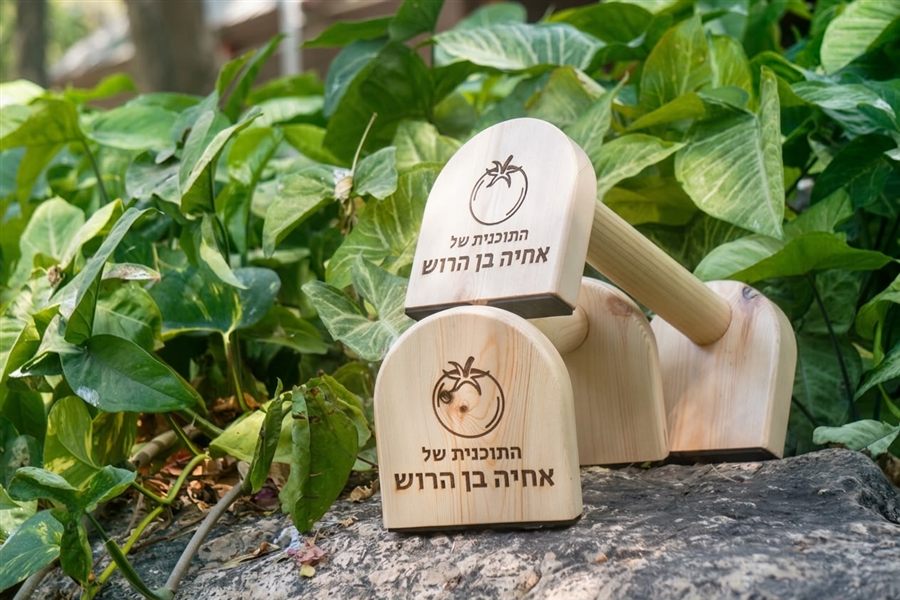 זוג מקבילוני עץ חרוטים בלוגו של התוכנית, על הדשא